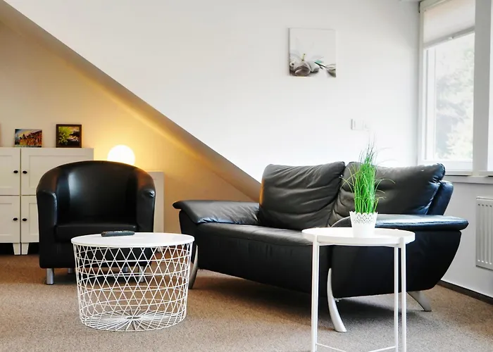 Altstadt Iv - Waschmaschine-parkplatz- Wlan 公寓 沃尔夫